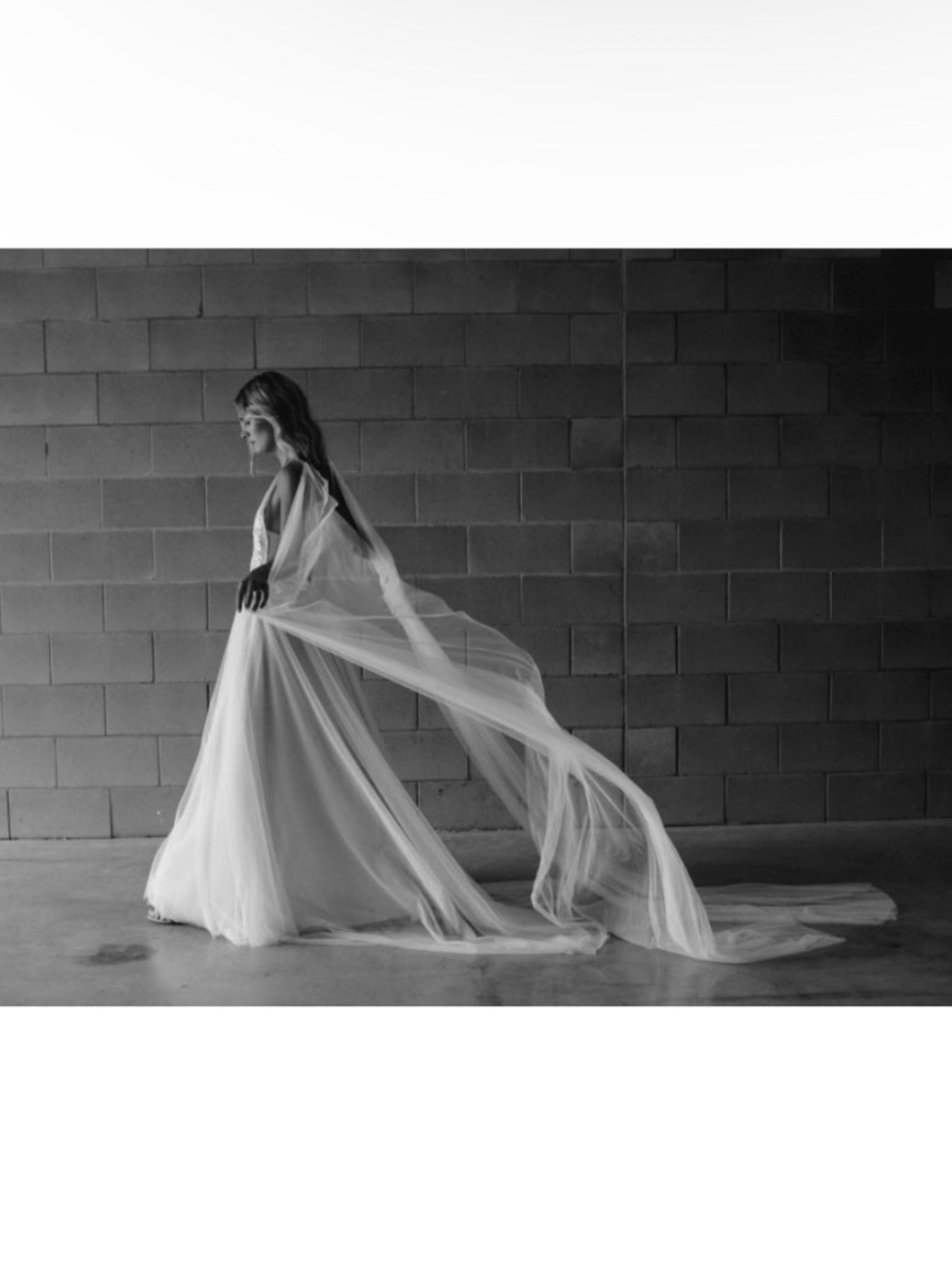 Tulle Shoulder Veil Bridal Wings Ivory by MWL
